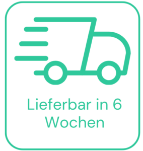 Lieferung Icon